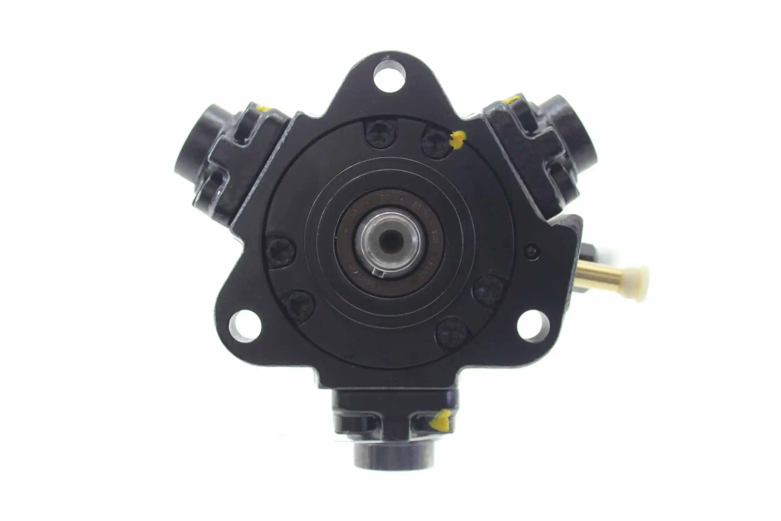 High Pressure Pump (11975098)