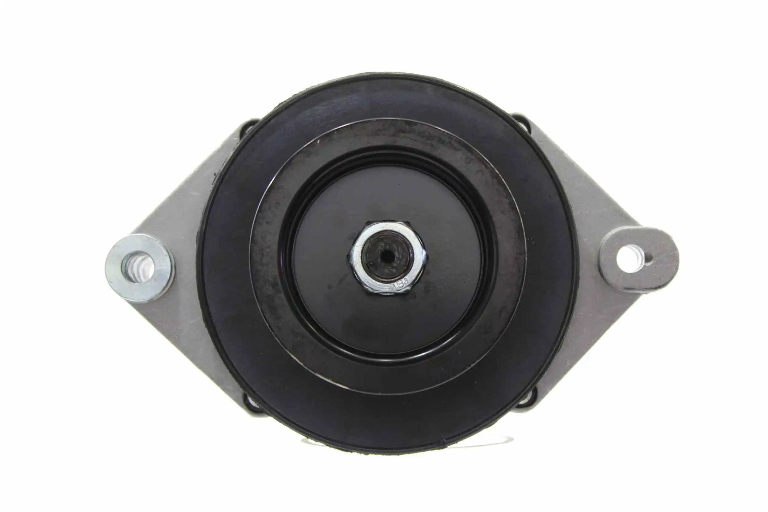 Alternator (10441496)