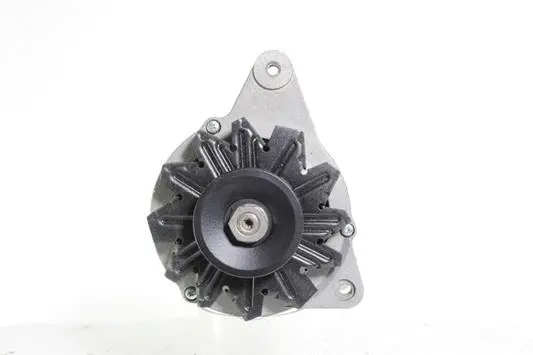 Alternator (10441416)