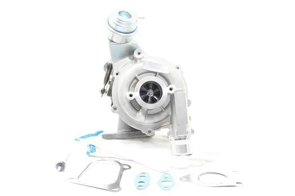 Charger, charging (supercharged/turbocharged) (10901249)