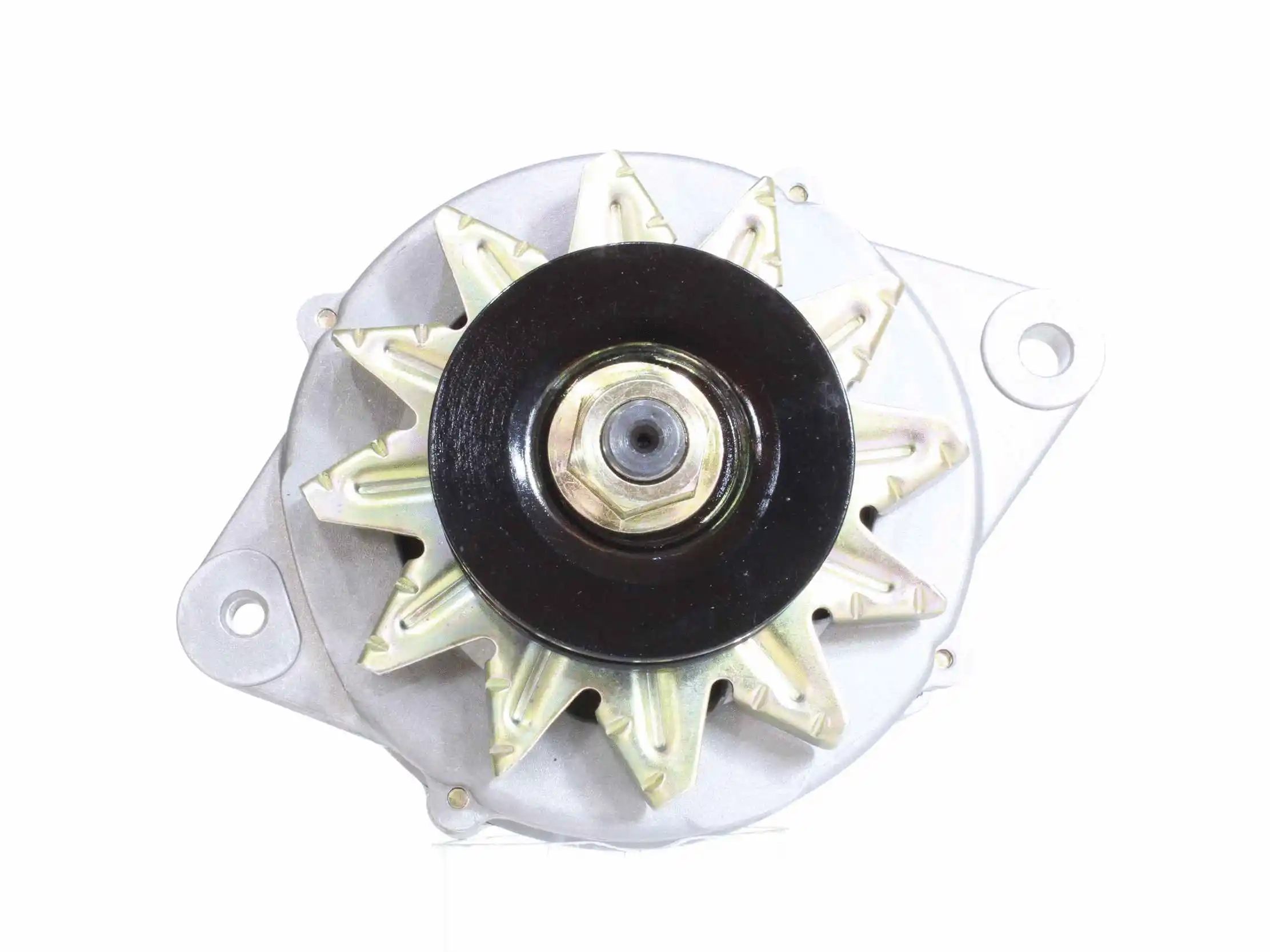 Alternator (10442063)
