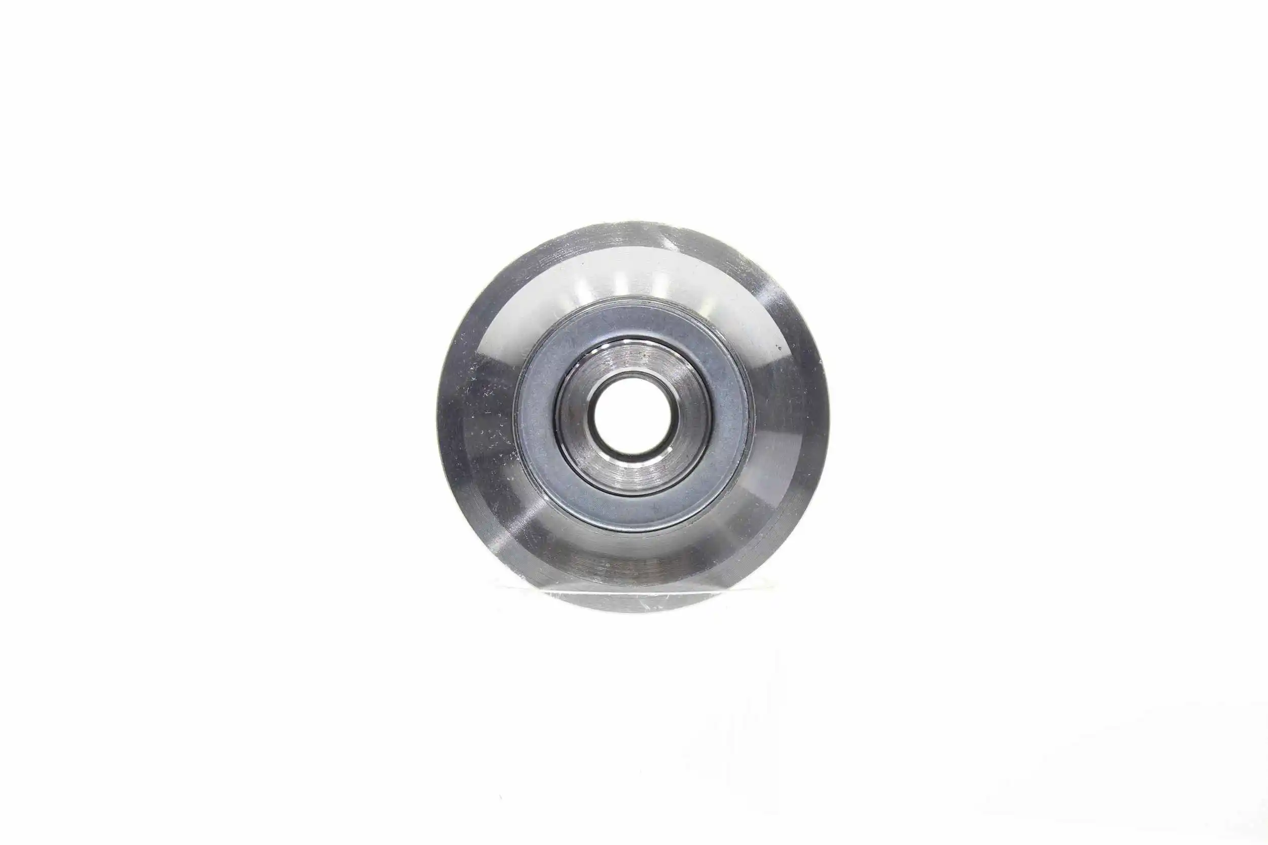 Alternator Freewheel Clutch (10720139)