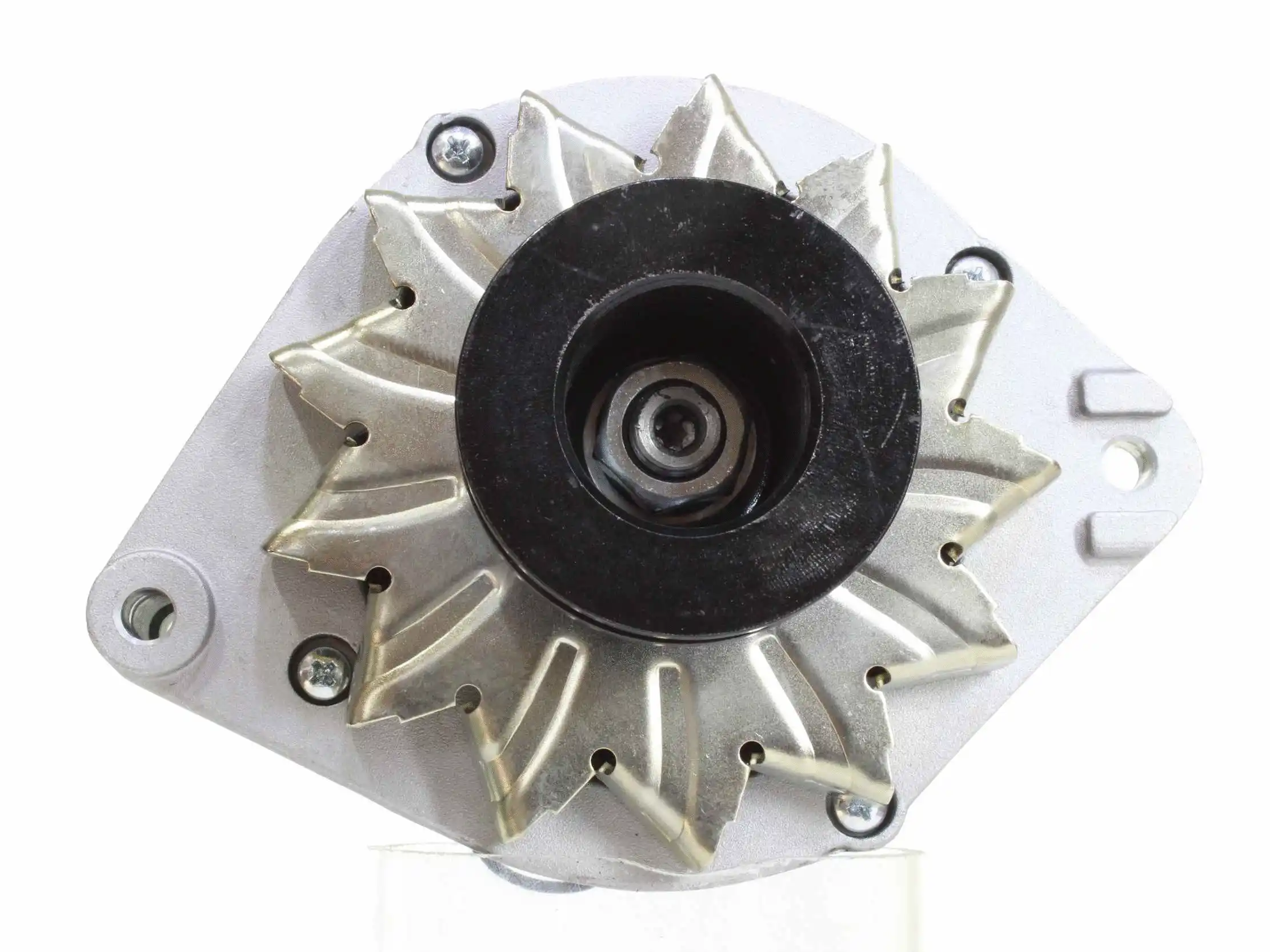 Alternator (10443273)