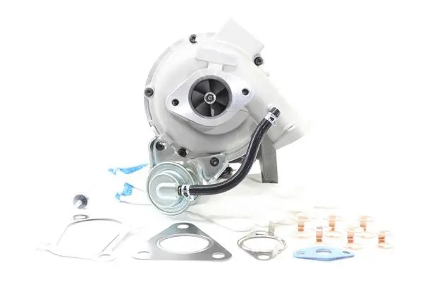 Charger, charging (supercharged/turbocharged) (10901260)