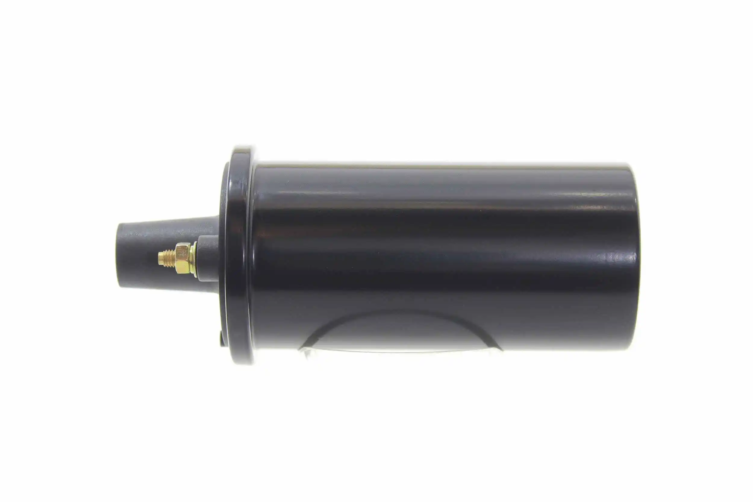 Ignition Coil (10953150)