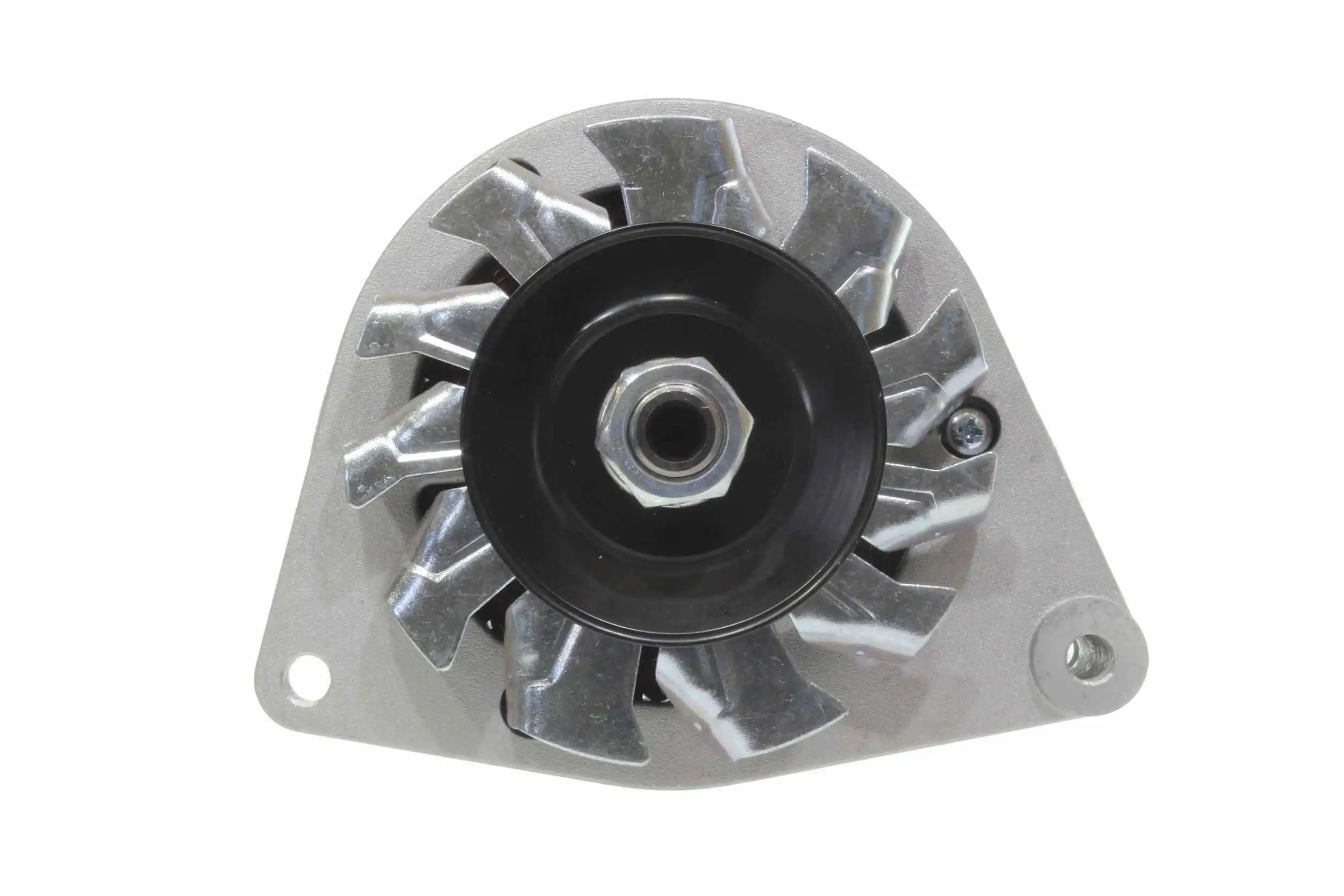 Alternator (10441955)