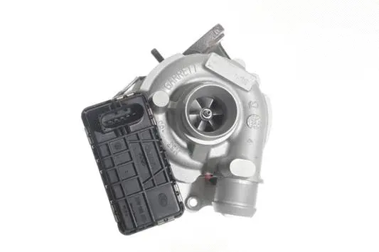 Charger, charging (supercharged/turbocharged) (10900326)