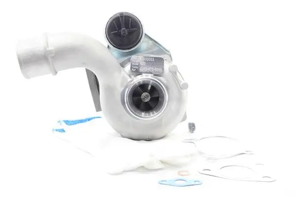 Charger, charging (supercharged/turbocharged) (10900003)