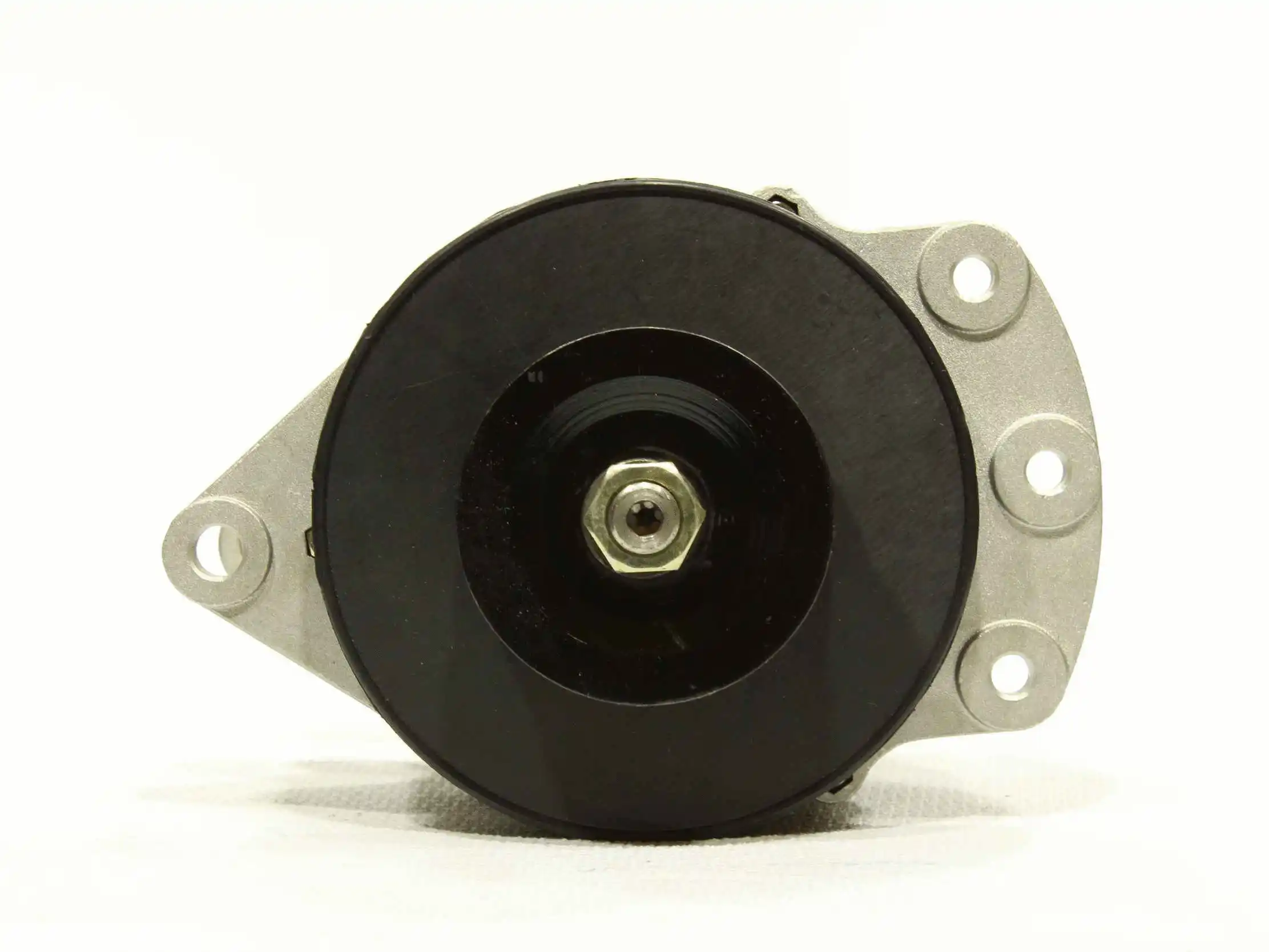 Alternator (10442266)