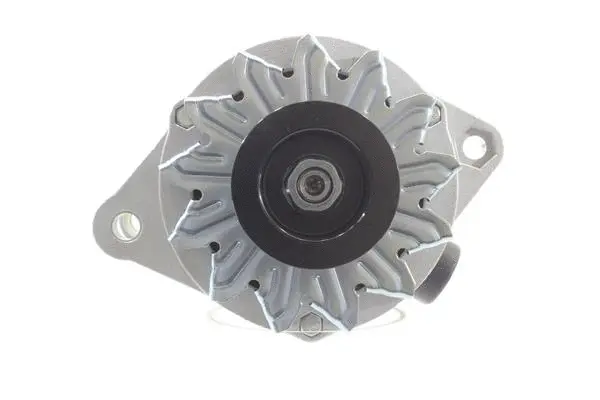 Alternator (10441591)