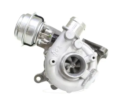 Charger, charging (supercharged/turbocharged) (10900023)