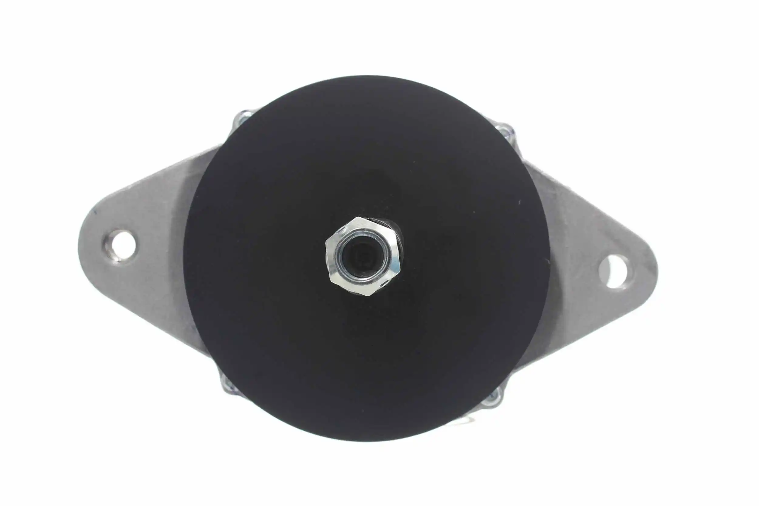 Alternator (10443670)