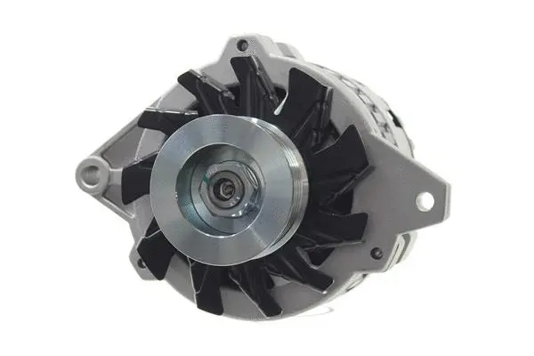 Alternator (10441455)