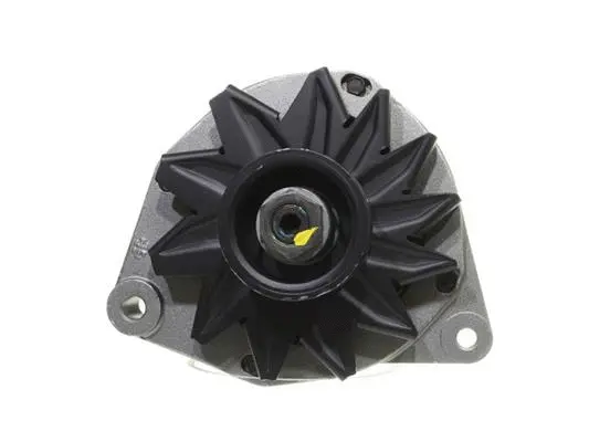 Alternator (10441969)