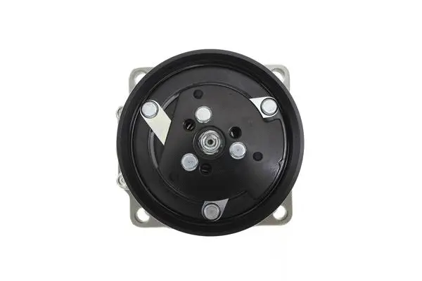 Compressor, air conditioning (10550388)
