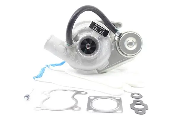 Charger, charging (supercharged/turbocharged) (10900185)