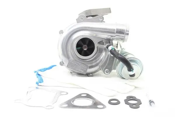 Charger, charging (supercharged/turbocharged) (10901032)