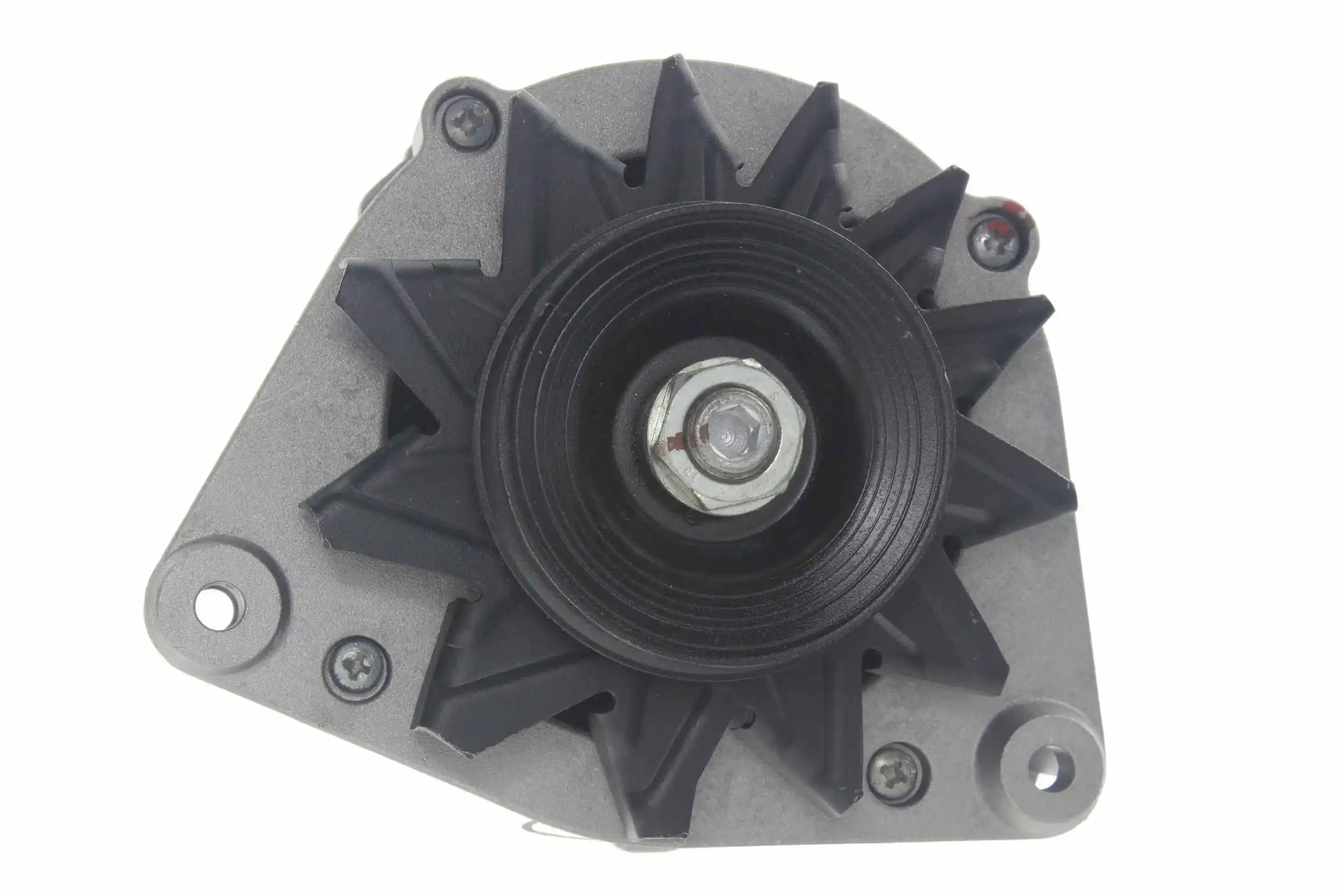 Alternator (10442541)
