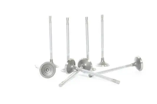 Intake Valve (10998013)