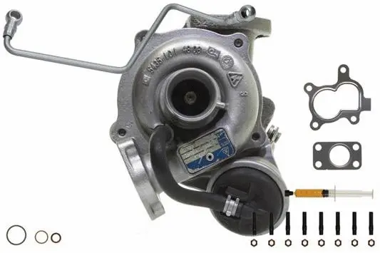 Charger, charging (supercharged/turbocharged) (900005S1)