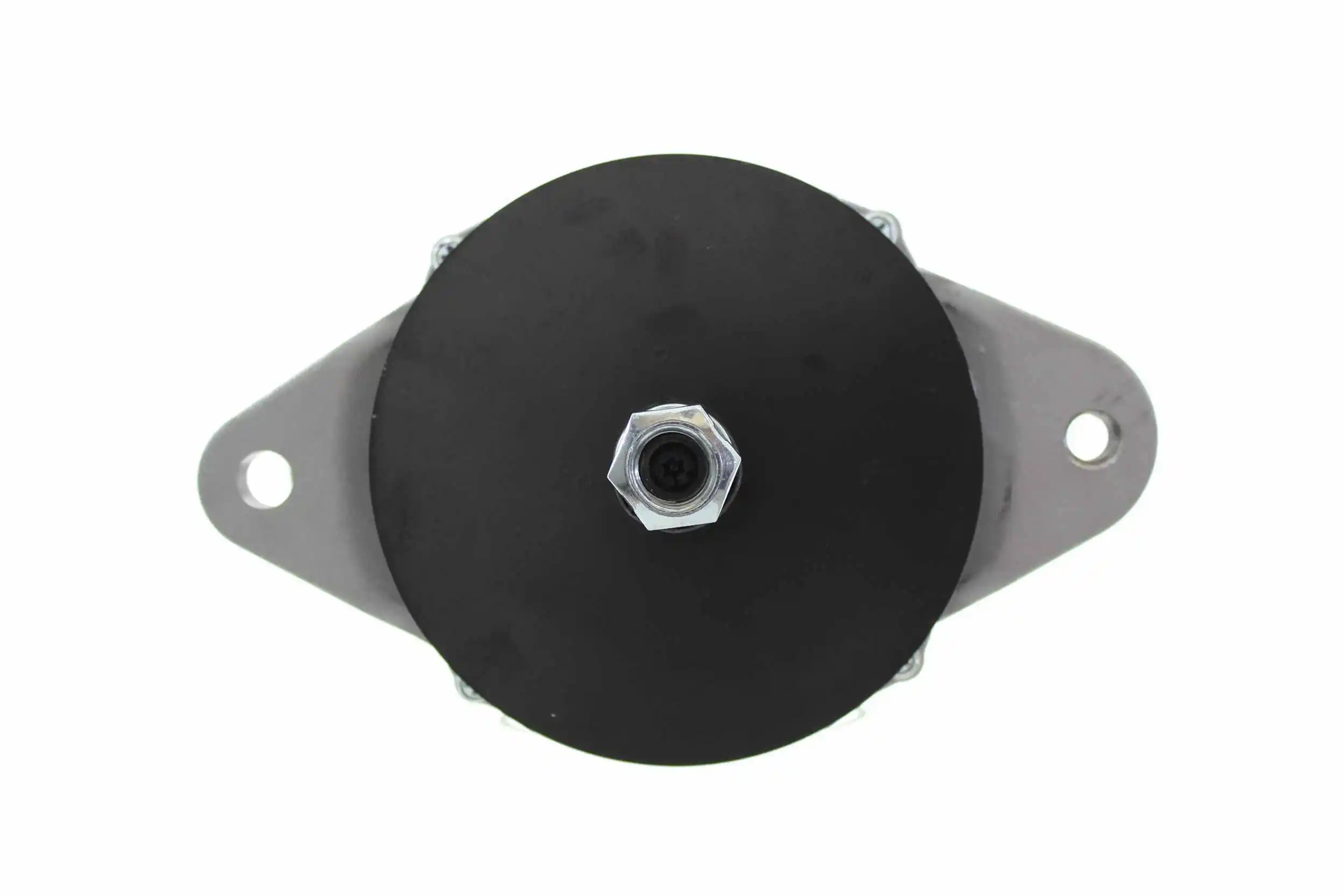 Alternator (10442732)