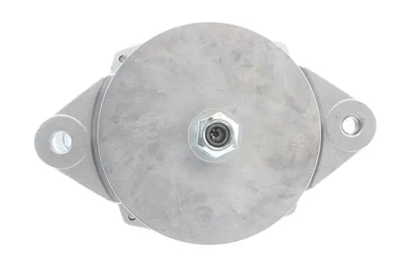 Alternator (10441737)
