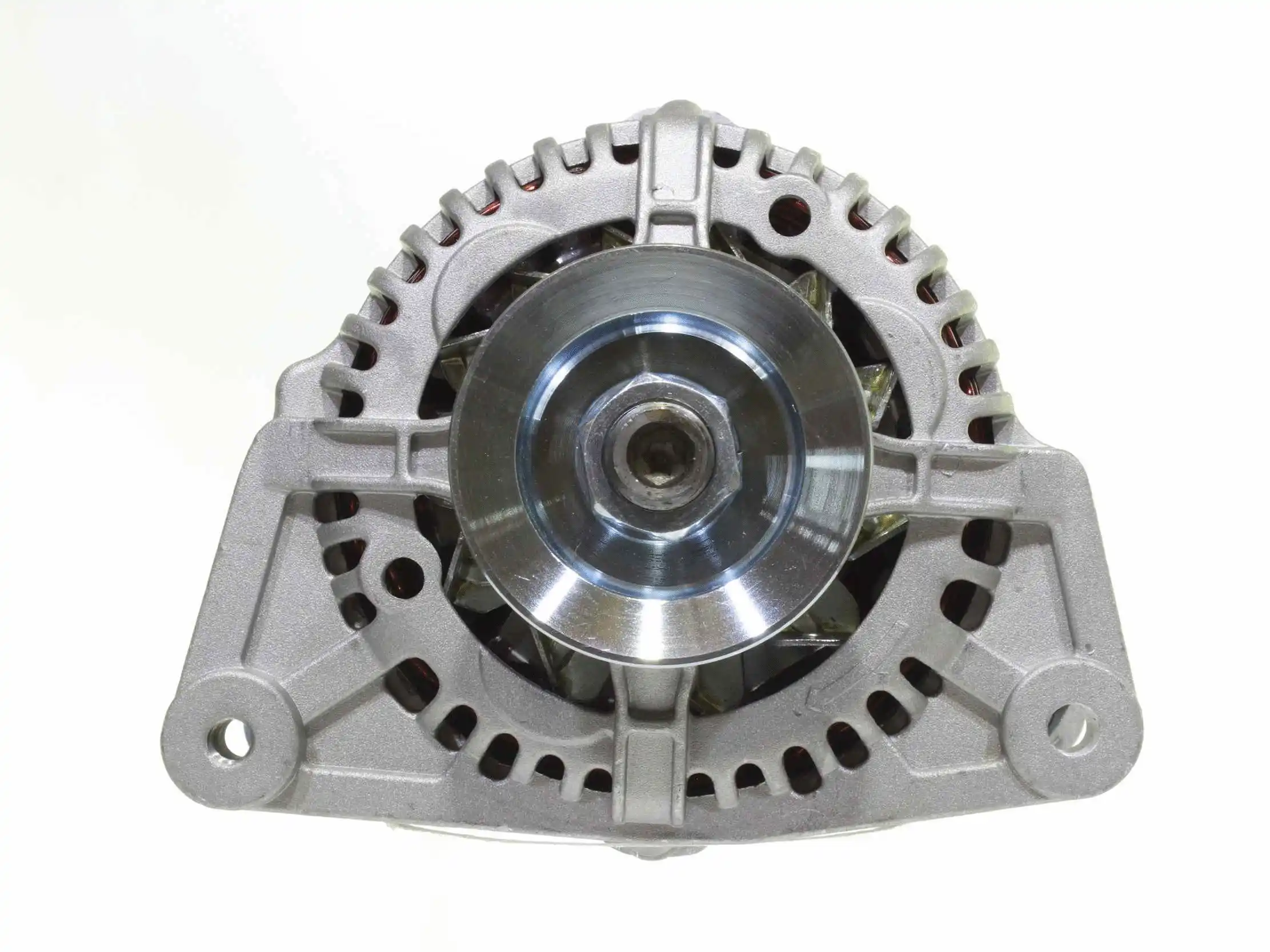 Alternator (10442219)