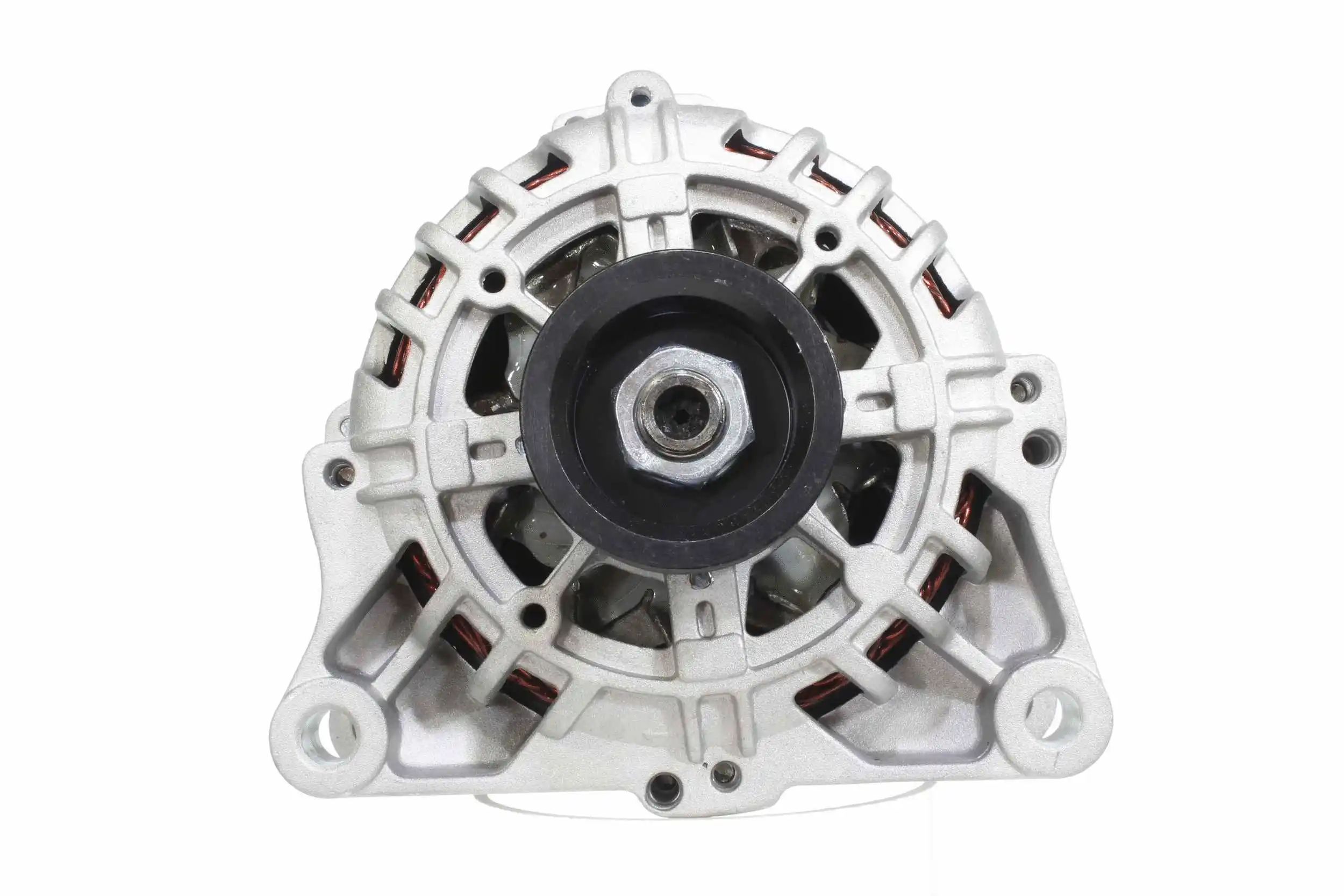 Alternator (10443095)