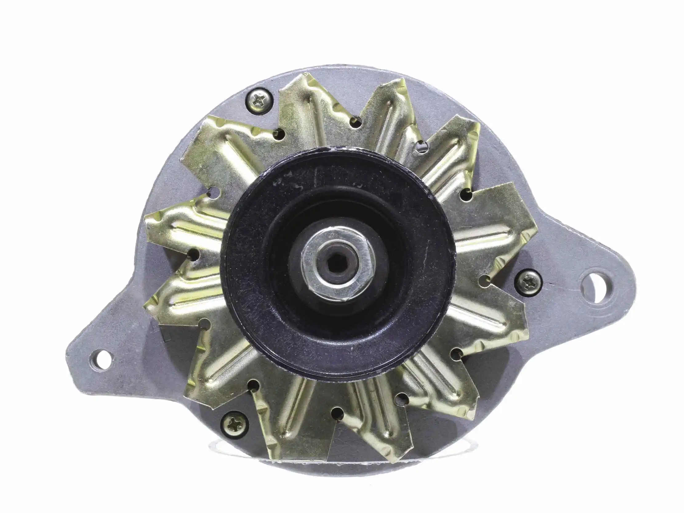 Alternator (10441371)