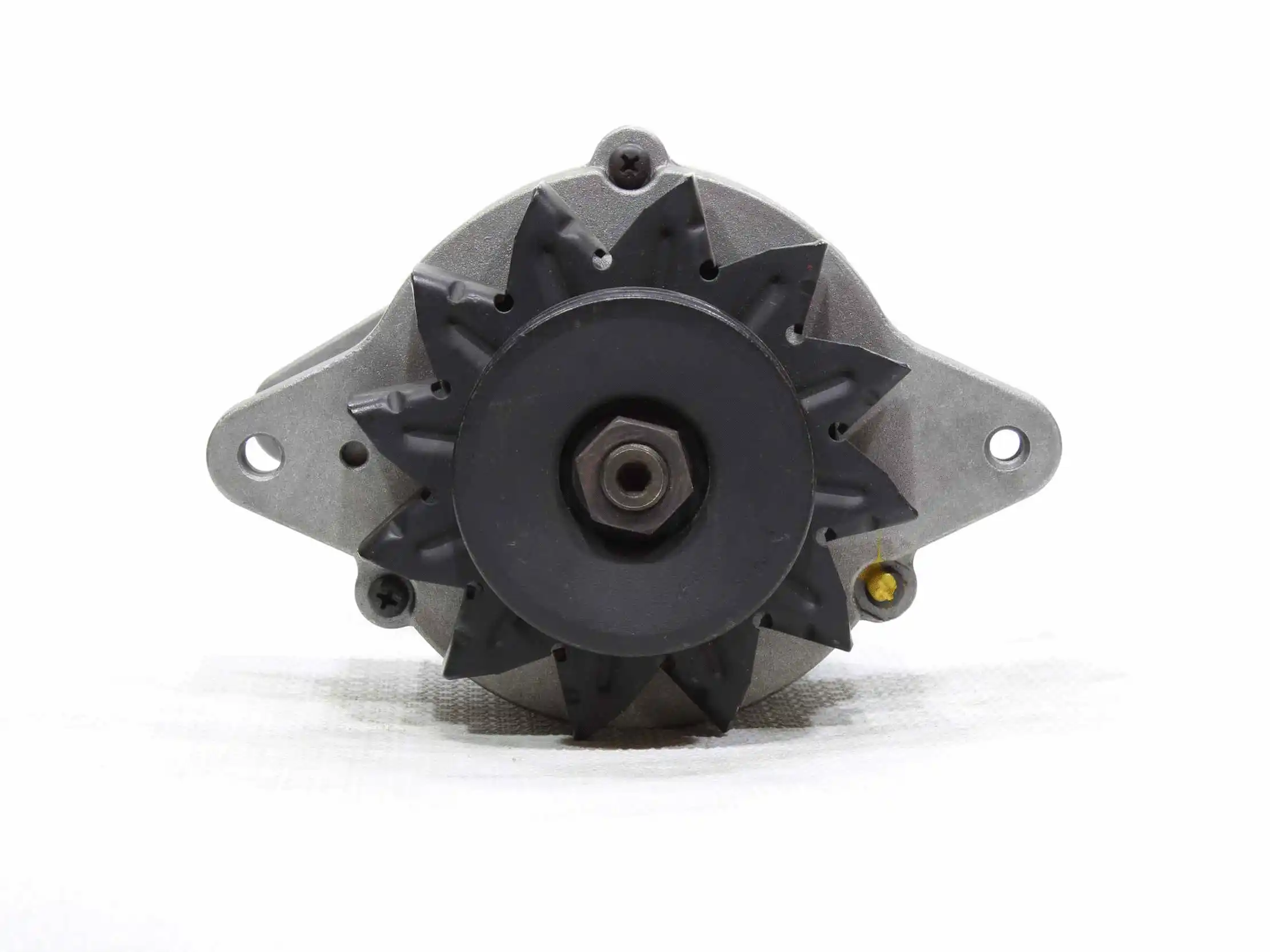Alternator (10441725)