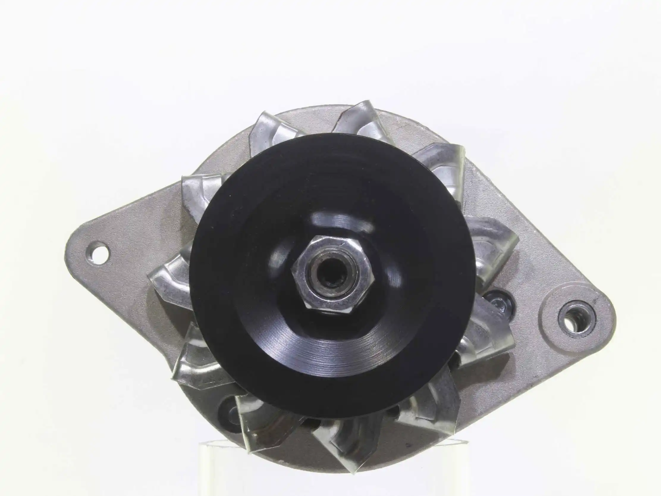 Alternator (10441956)
