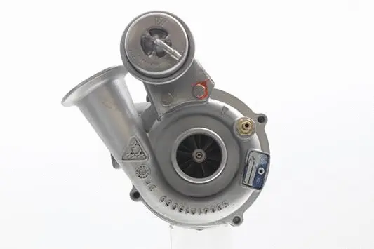 Charger, charging (supercharged/turbocharged) (10900300)