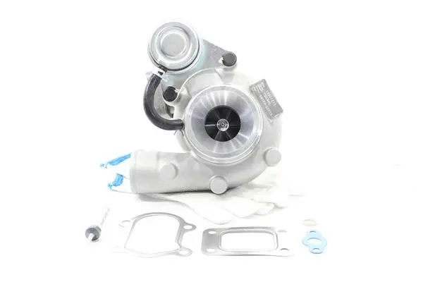 Charger, charging (supercharged/turbocharged) (10901271)