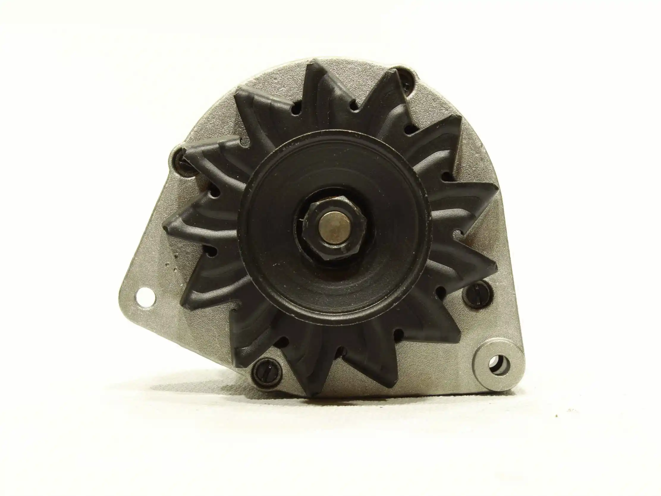 Alternator (10442538)