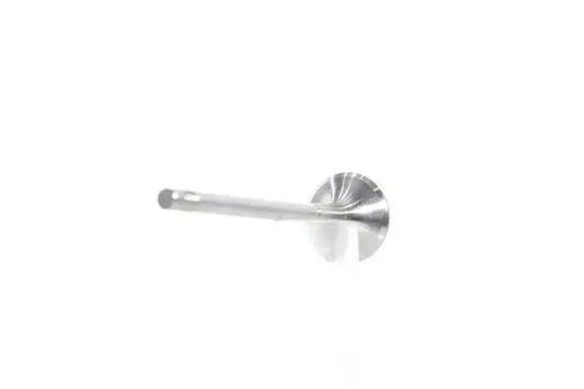 Exhaust Valve