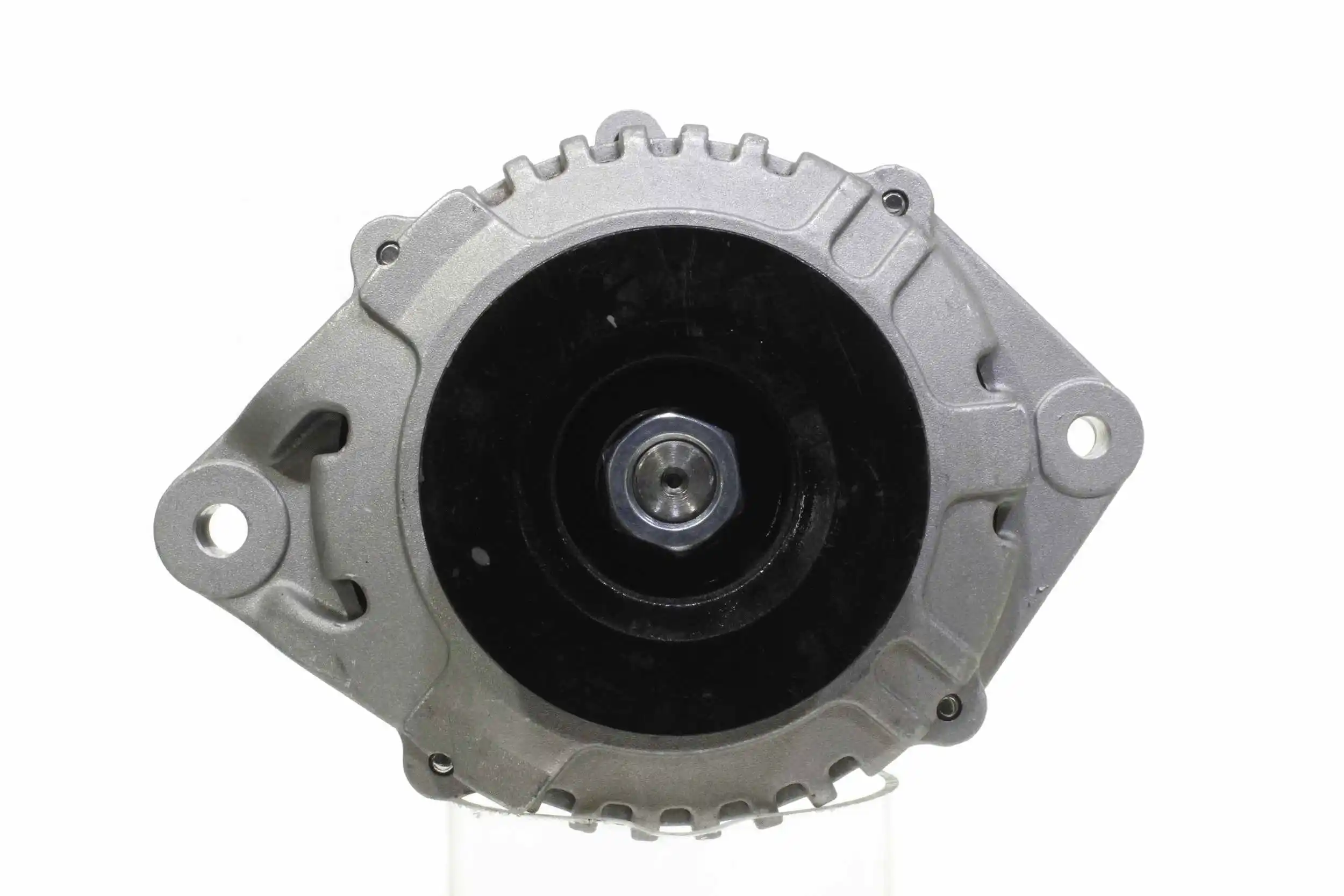 Alternator (10442076)