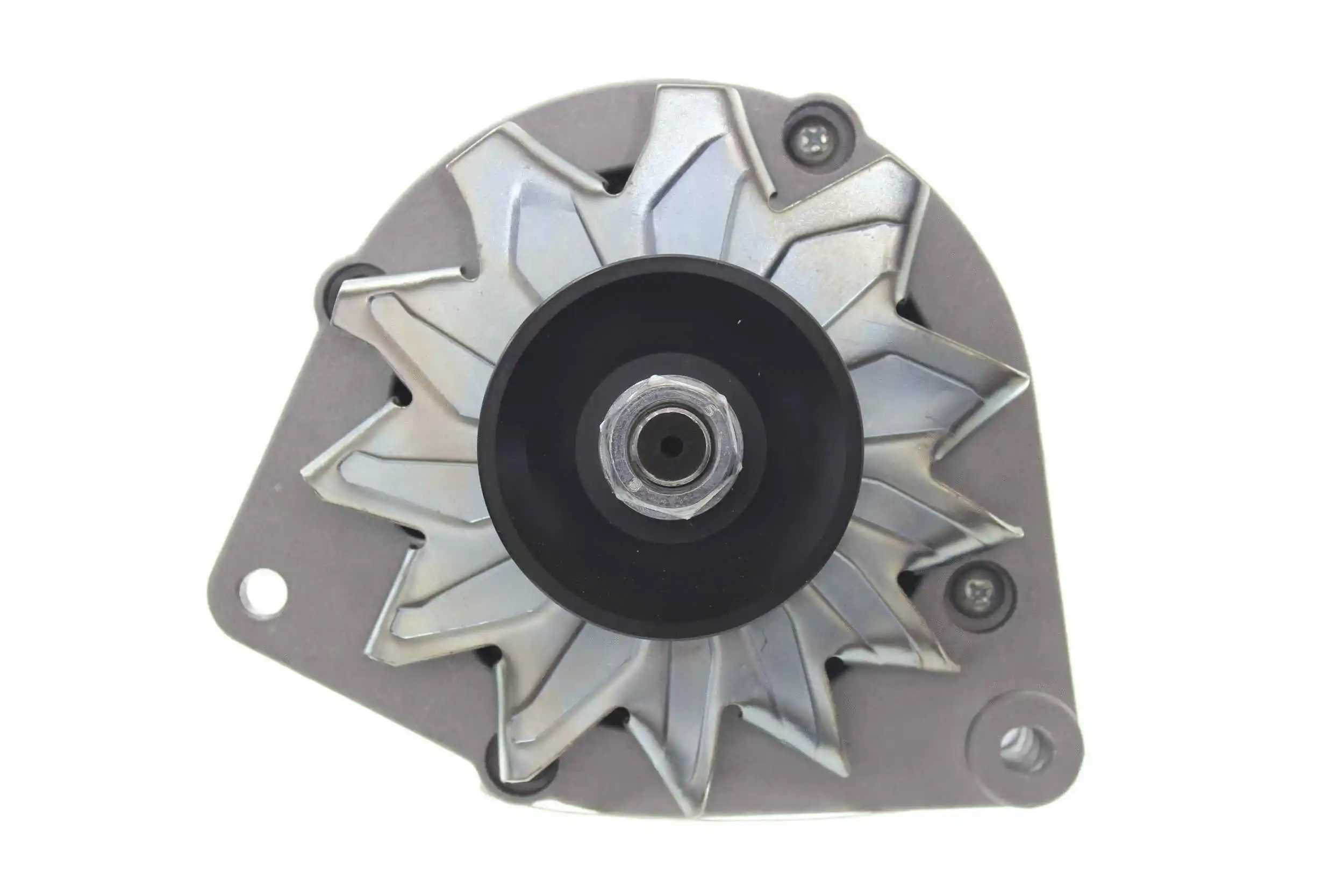 Alternator (10441639)