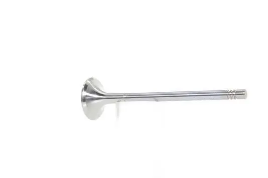 Exhaust Valve