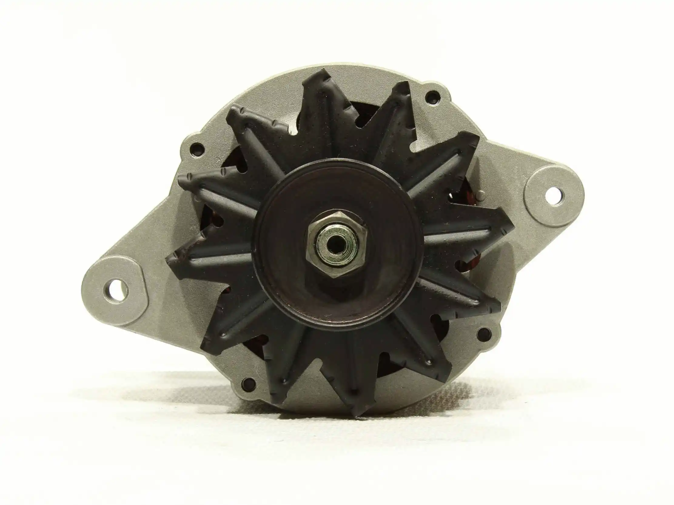 Alternator (10441434)