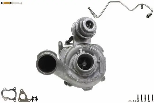 Charger, charging (supercharged/turbocharged) (900395S1)