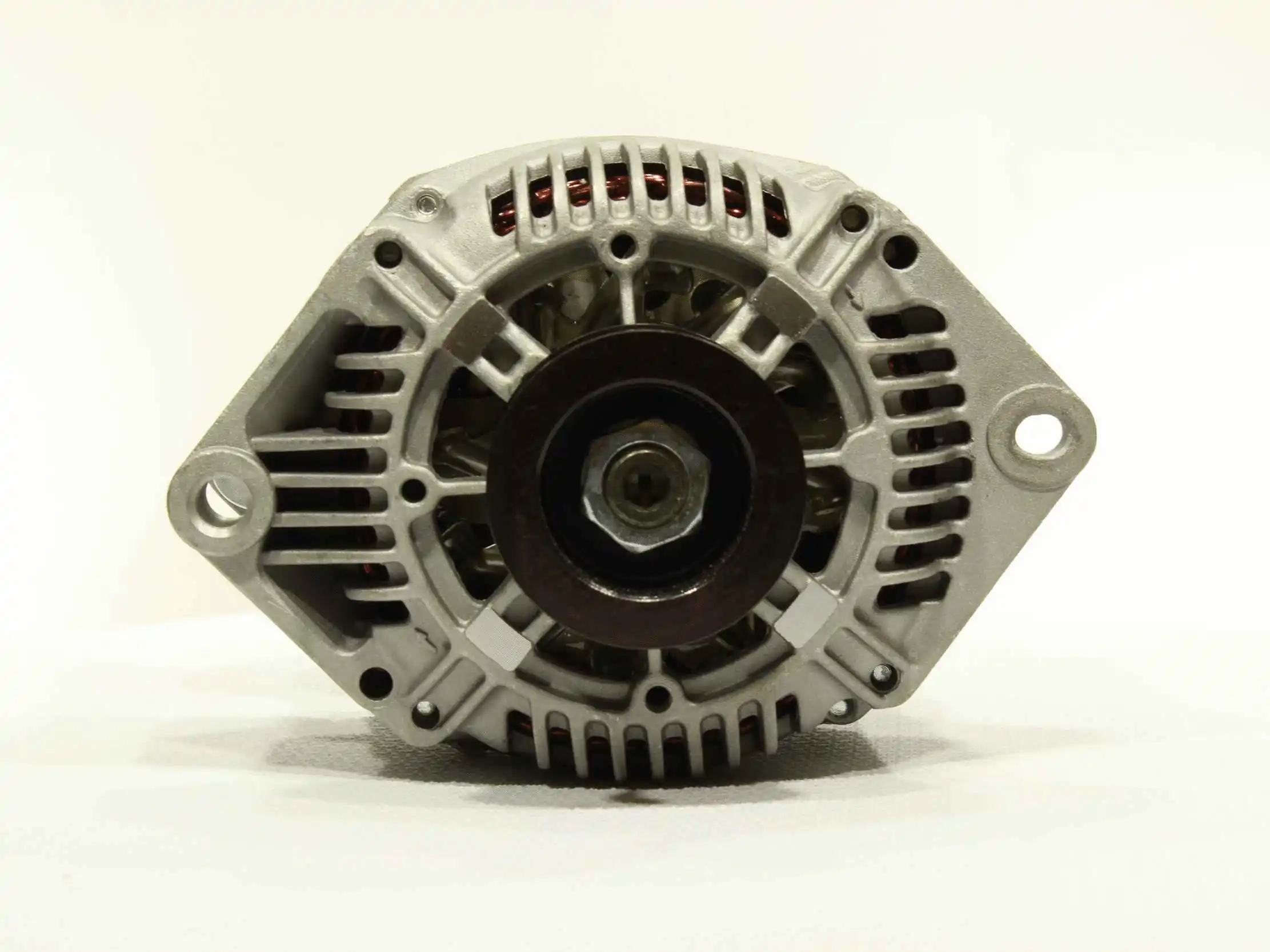 Alternator (10442391)
