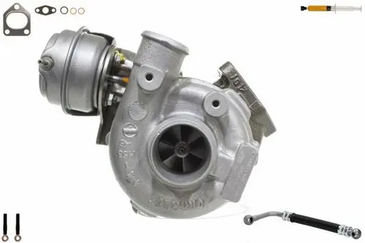 Charger, charging (supercharged/turbocharged) (900869S1)