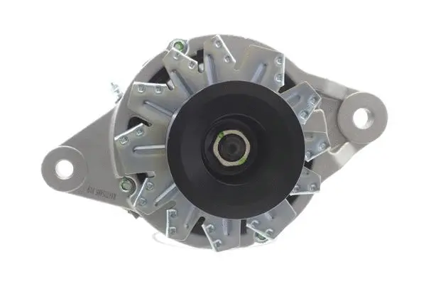 Alternator (10443948)