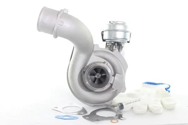 Charger, charging (supercharged/turbocharged) (10900058)