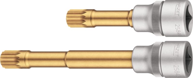 Socket Wrench Set (2584-12/2)