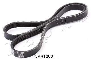 V-Ribbed Belt (5PK1260)