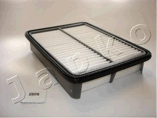 Air Filter (20250)