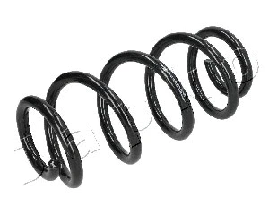 Suspension Spring (ZCJ1013A)