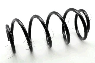 Suspension Spring (ZCJ1160H)