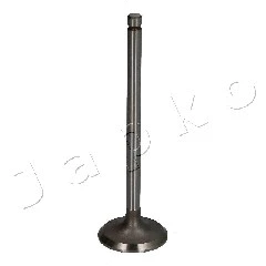 Intake Valve